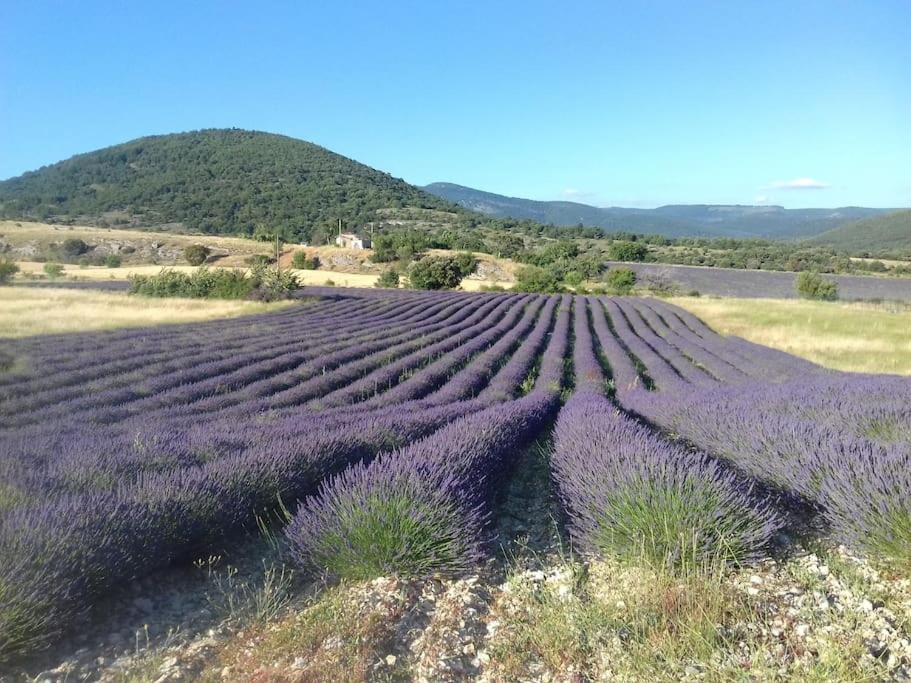 Gite Les Granges Dans Ferme Provencale. 14 Pers Ongles Luaran gambar
