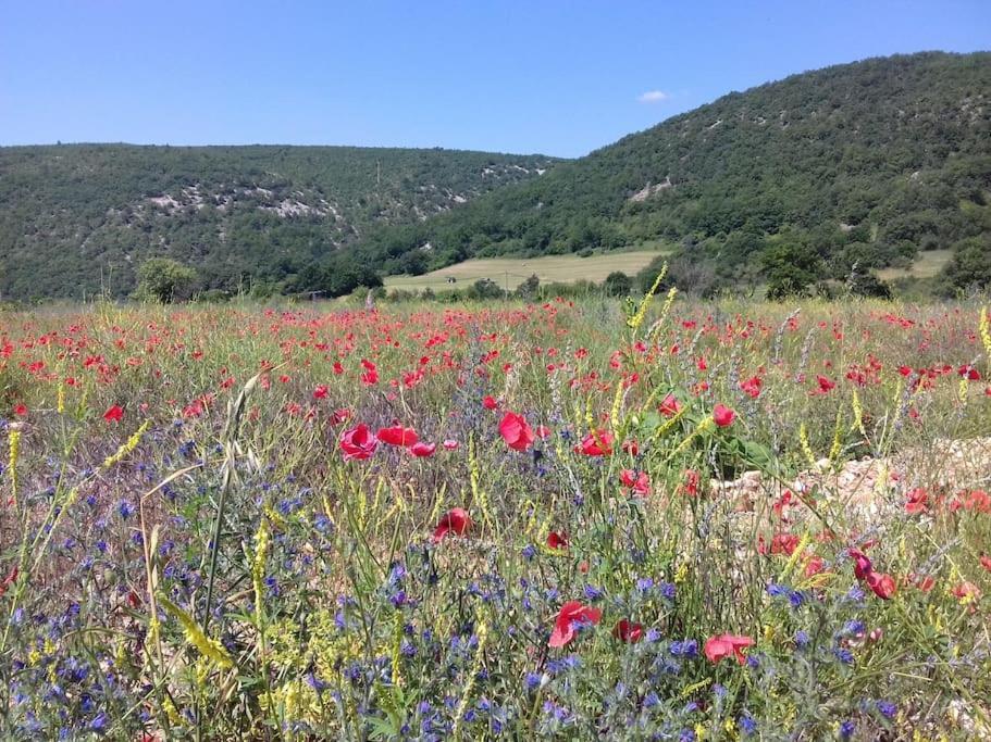 Gite Les Granges Dans Ferme Provencale. 14 Pers Ongles Luaran gambar