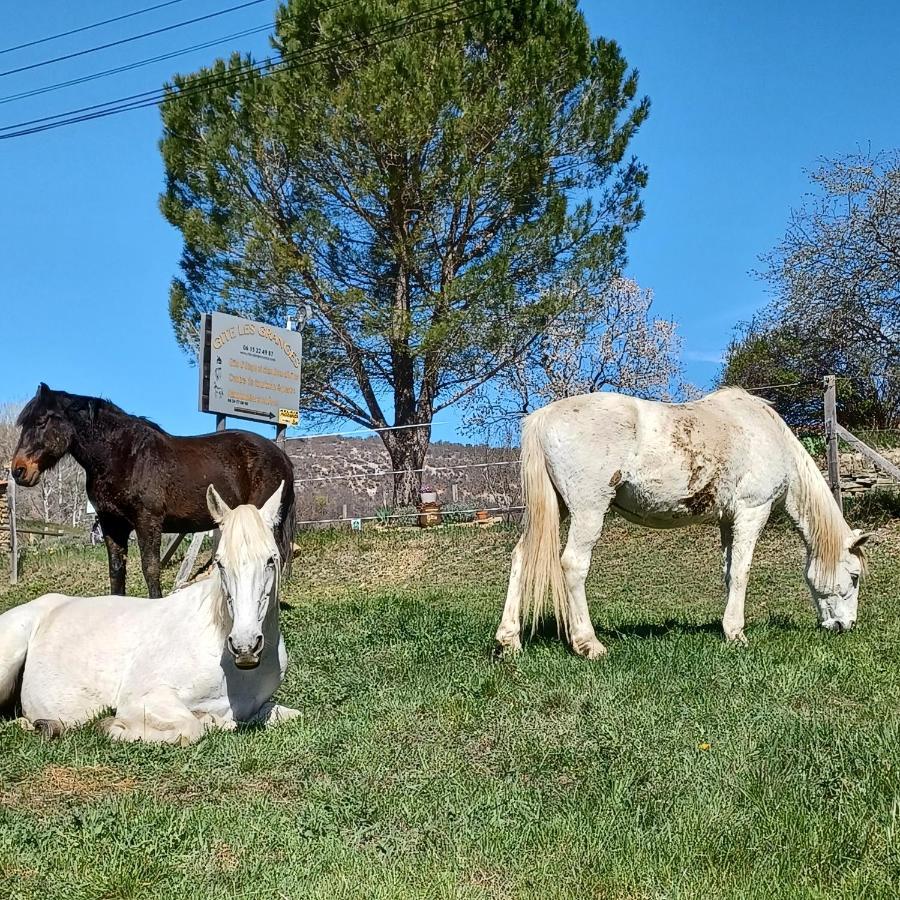 Gite Les Granges Dans Ferme Provencale. 14 Pers Ongles Luaran gambar